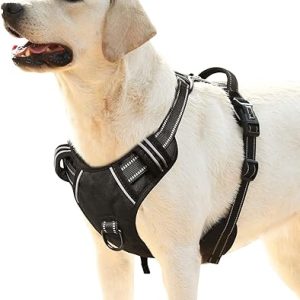 HEELE Pettorina Cane. (B09BYC3HHY)