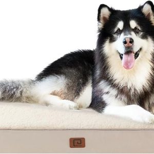 EHEYCIGA Cuccia Cane Interno Taglia Grande XXL. (B0CLV9W3XF)