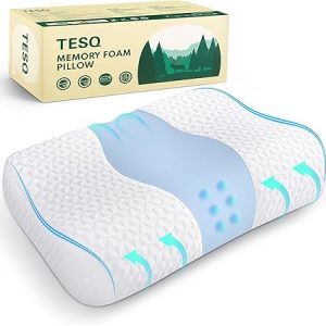 TESQ Cuscino in Memory Foam. (B0D66JT1MD)