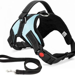 Pettorina per Cane. (B08HZD1MY1)