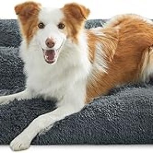 Feandrea Cuccia per Cani. (B0BN871K7H)